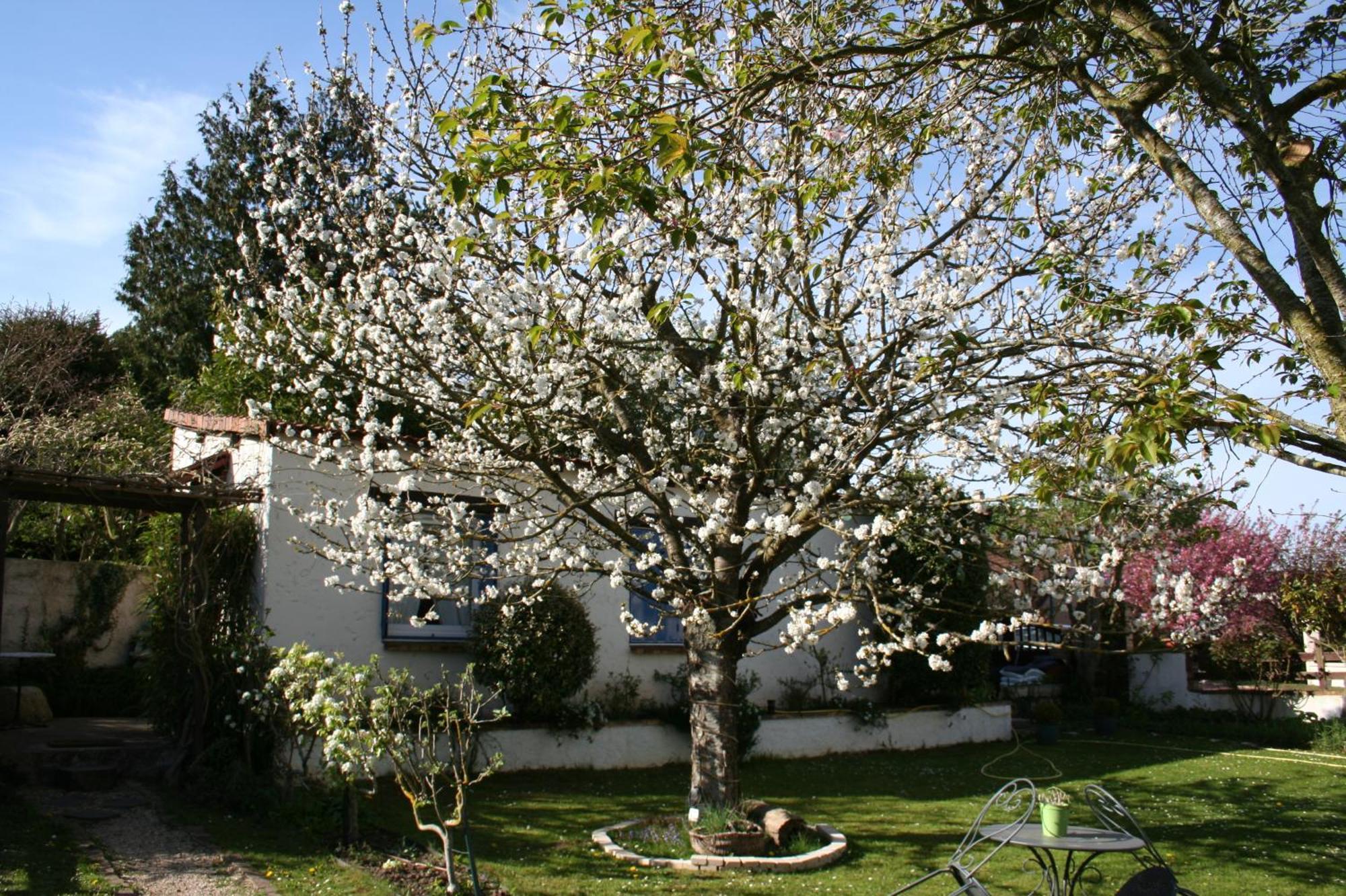 Mareil-Marly Le Cerisier B&B 외부 사진